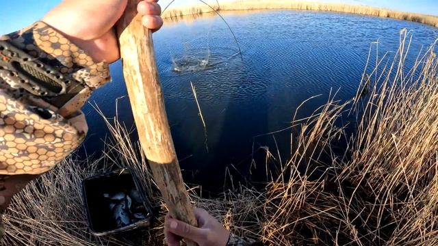 Рыбалка на паук 2024 или ТОННЫ рыбы в луже.  РОЗЫГРЫШ паука для рыбалки.