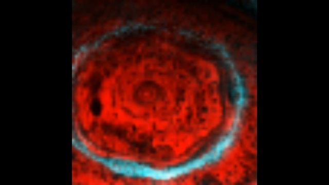 Best of Cassini-Huygens