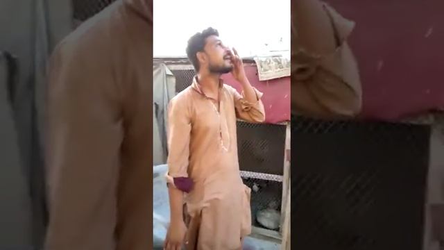 Kabootar Tournament Karachi || 8 kabootar ki uran