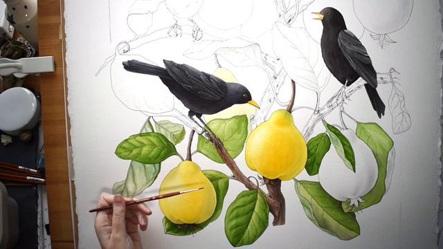 Watercolour Brush Test: Princeton Neptune, review & demo (painting a quince)