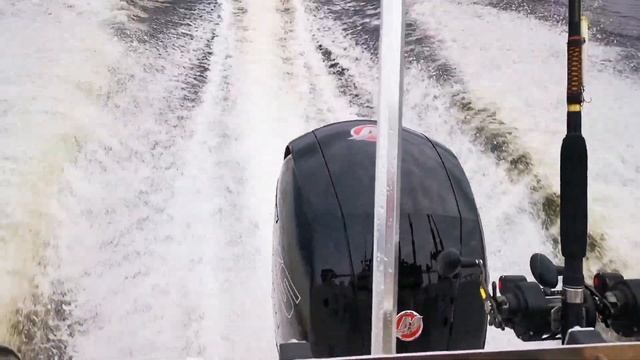 Mercury XS PRO 150 L