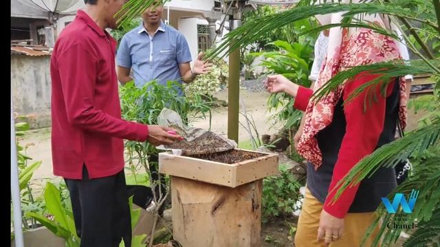 Kiat Budidaya Lebah Madu Trigona Komunitas Trigona Tanggamus "KOTTANG"