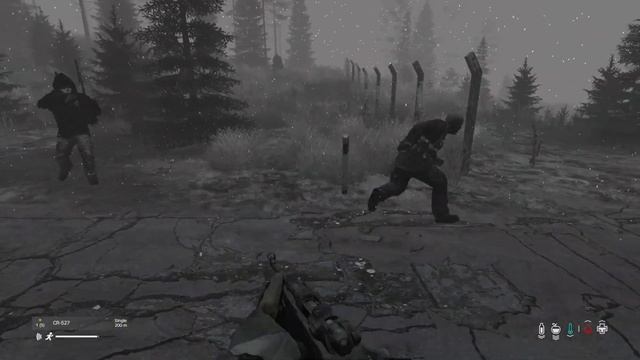 Namalsk Arctic Survival - DayZ Livestream 🔴