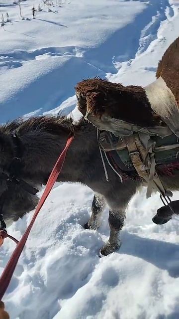 Забыл снять с ручника