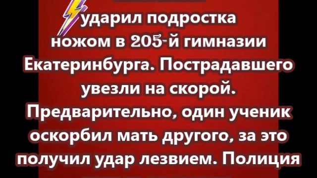 Школьник ударил подростка ножом в 205-й гимназии Екатеринбурга