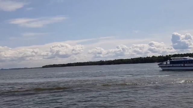 Питер Комета
