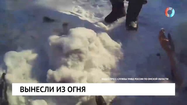 Вынесли из огня