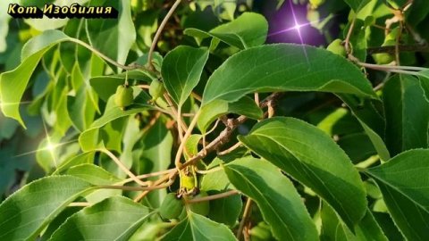 Гороскоп на 21 апреля 2022 года