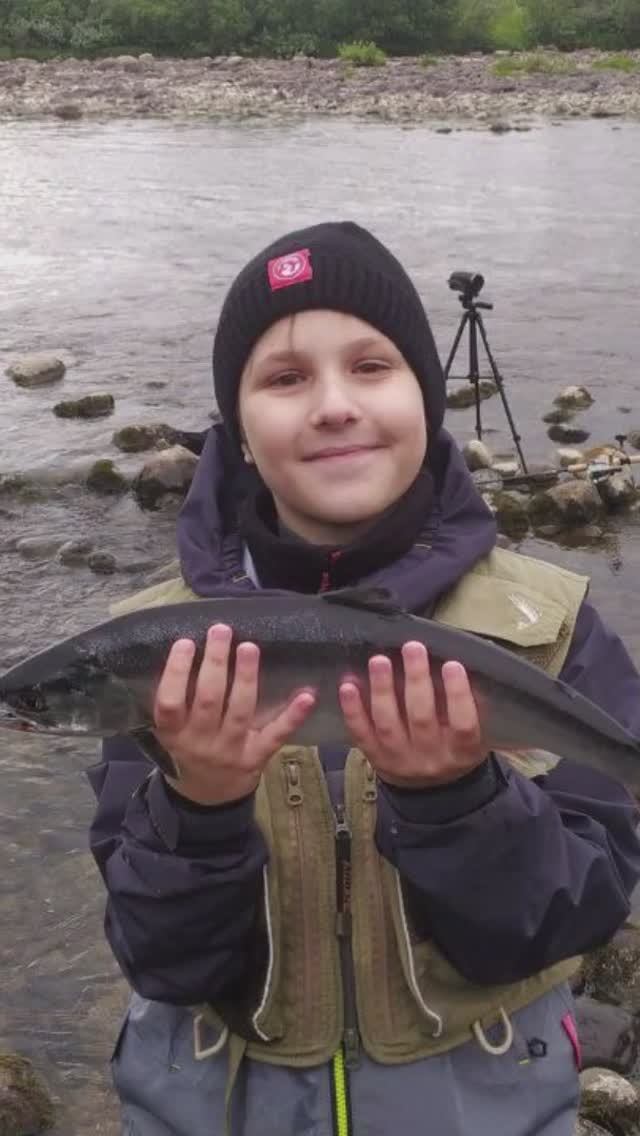 Печенга 2023. Горбуша с ямы на спиннинг!  #shorts  #fishing  #pinksalmon   #горбуша