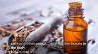 How to Control Candida Growth with 6 Natural Remedies