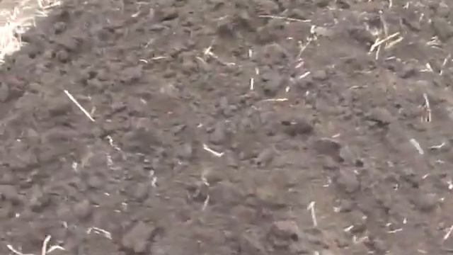 Подготовка земли и высадка морковки!Часть№3 Land preparation and planting of carrots!