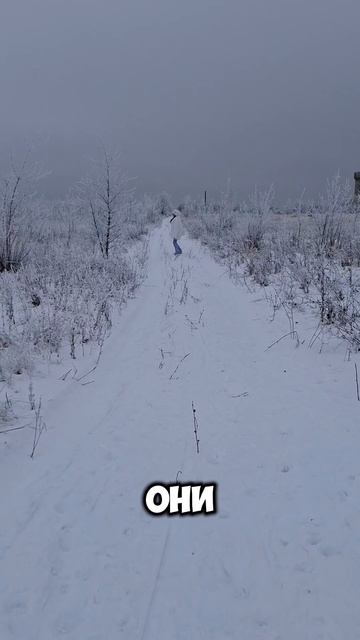 Главное, не падай духом! И всё будет тип  - топ!