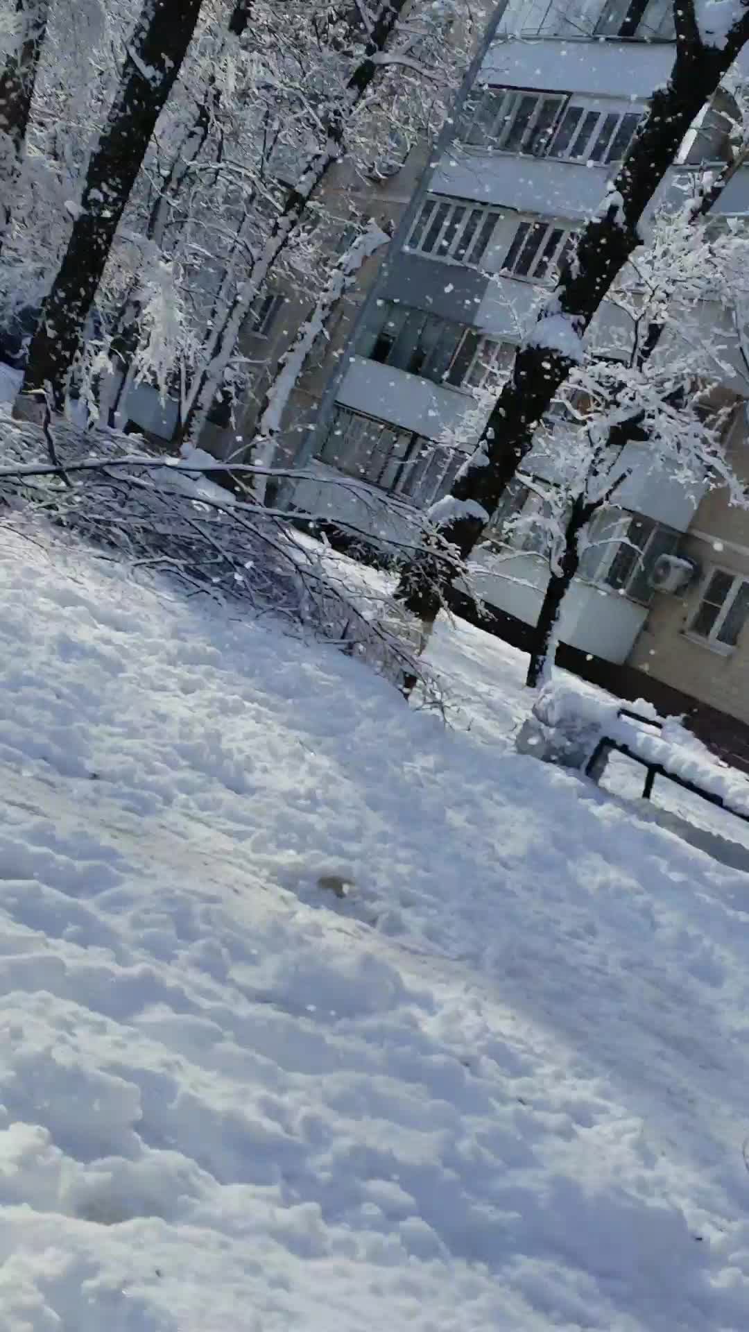 Снег
