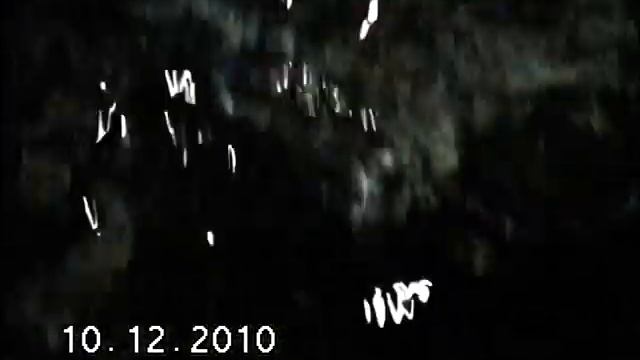 Планета Нептун. Дельфинарий. 2010.
