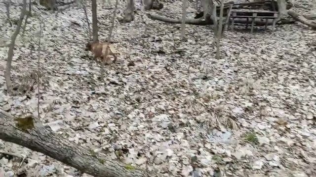 pH воды в лесной кринице