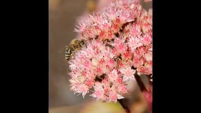 Celebrating Equinox 2013 by !DivineSpeak!