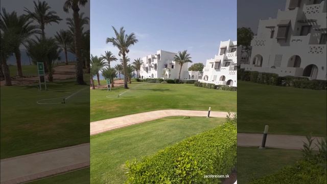 MERCURE HOTEL , 2023 Egypt- area, rooms, sandy beach