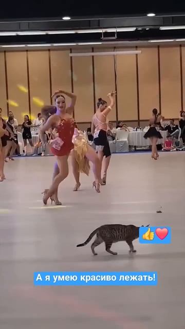 Красиво танцует