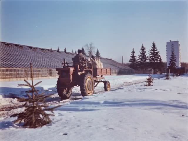 Выращивание цветов в закрытом грунте. СССР 1973год