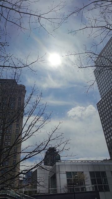 🌑ECLIPSE en NEW YORK