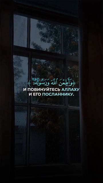 Сура_Аль_Ахзаб_аят_33_Чтец_Мухаммад_Аль_Люхайдан 
#shorts #ислам #сура #коран