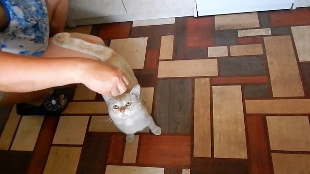 Персик кушает