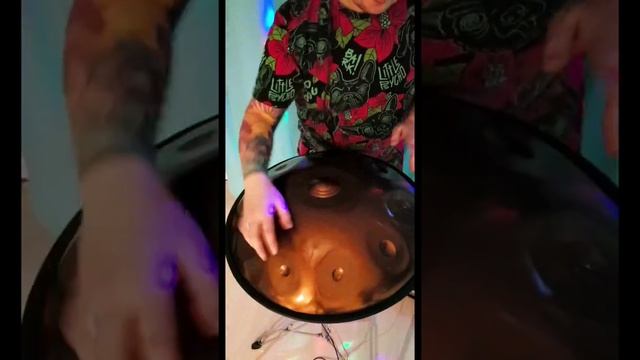 Handpan D Kurd 10 Tones Dziubee Drummer