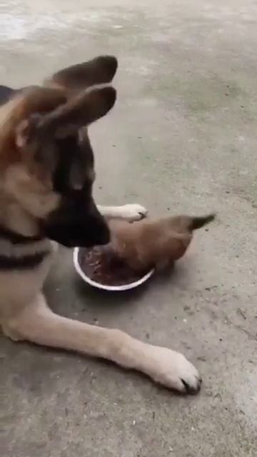 Всё моё!