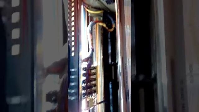 Jupiter Concord Fully Restored. 1966 Le-triomphe