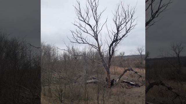 Video.Guru_20250202_182004758