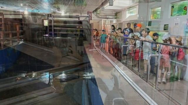 «Саяхатшылар күні»«День путешественника»