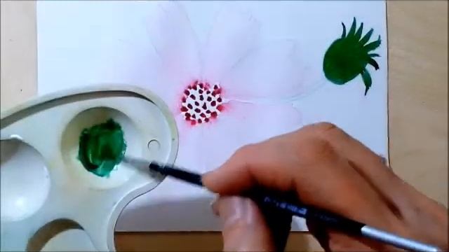 Космея