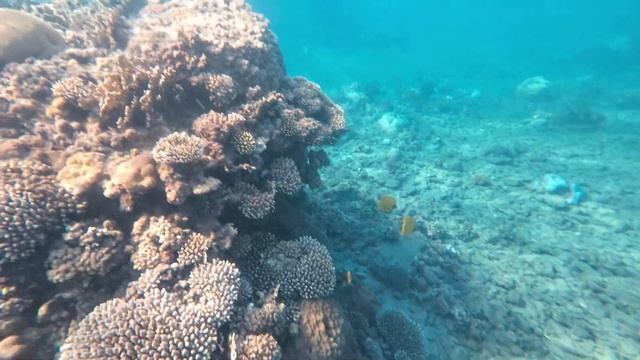 Iberotel Costa Mares - Marsa Alam - Egypt Oct.2023 // 4K filmed with DJI Osmo Action 3