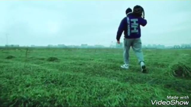 Грибы-тает лёд