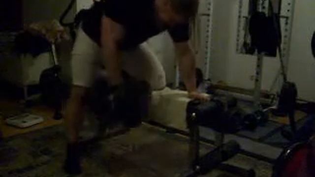 dumbbell rows 85 kg / 187 lbs