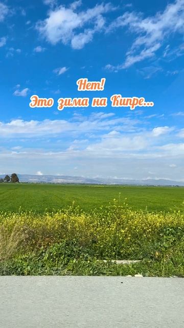Такая зима на Кипре