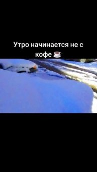 Утро начинается не с кофе ☕️