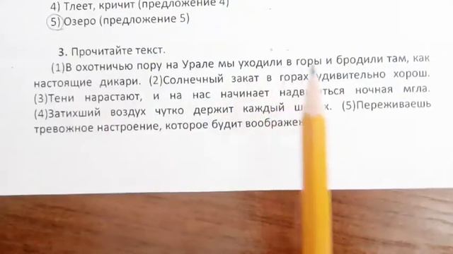 Решаю 2 задание из ОГЭ по русскому языку. Синтаксис