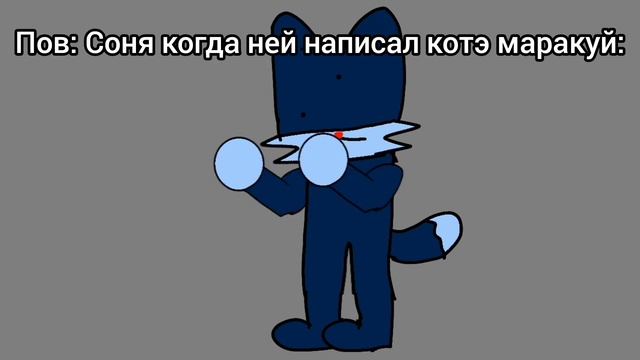 котик беб флексит (НО ЭТО АНИМАЦИЯ!)