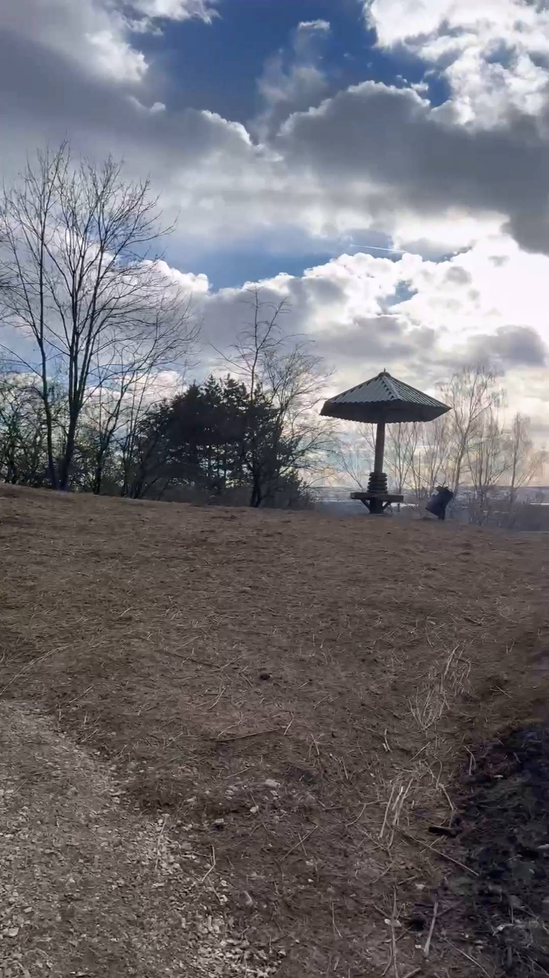 Грибок 1. Сколько в Кисловодском парке смотровых площадок грибок?