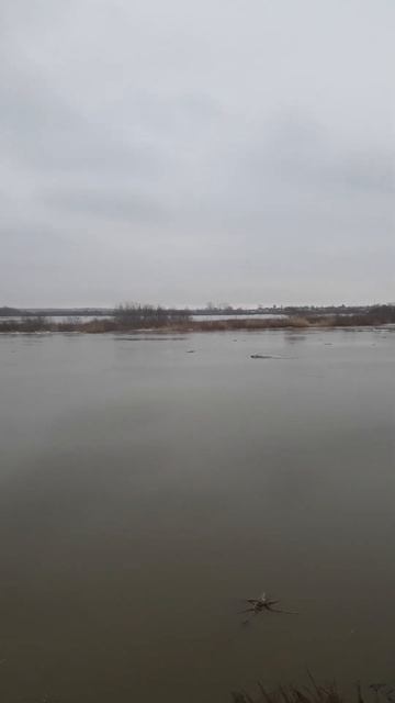 8 апреля 2024 г.