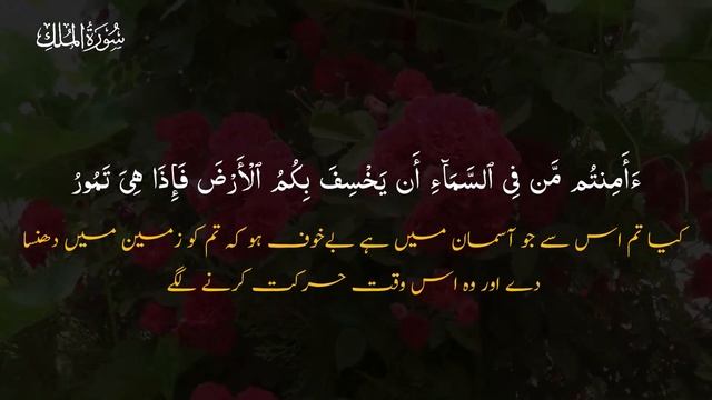 Daily surah almulk recitation ep-8, 16 May 2024