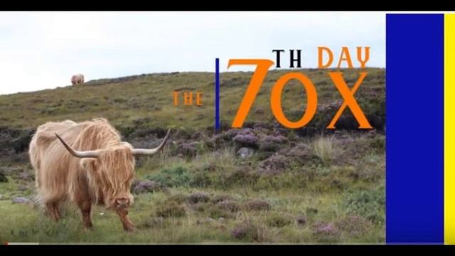 7th Day Ox   Episode 4