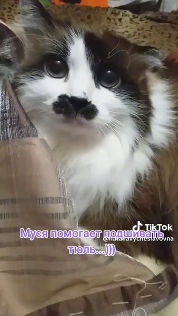 Помощница...)))
