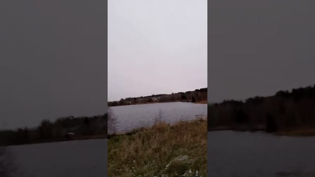 Таинственная история Машезерского пришельца.