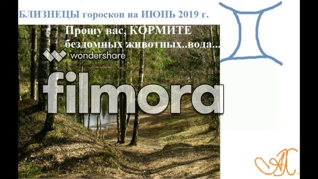 Близнецы гороскоп на июнь 2019 г.