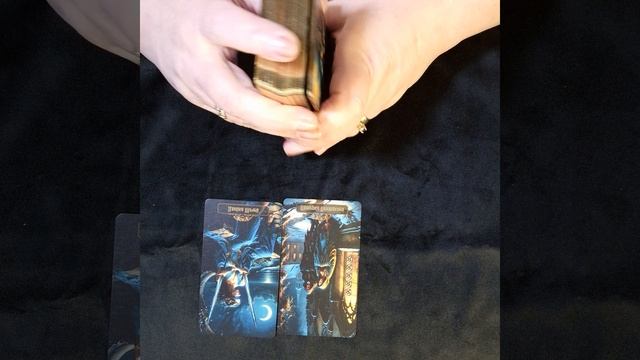 5телец