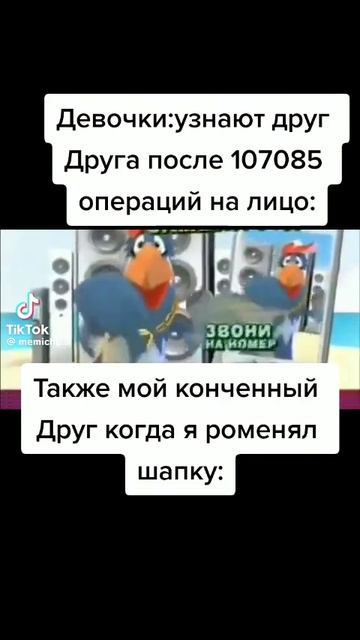 Я и друг