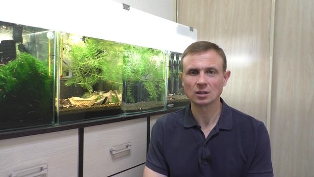 БЮДЖЕТНЫЙ АКВАРИУМ ДЛЯ КРЕВЕТОК НУЖНА ПОМОЩЬ