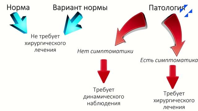 Исследования головного мозга: норма и патология